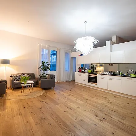 Beautiful In Bern With Parking, Massage & Meetingroom Available 아파트 *